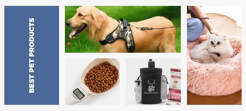 How to Start Dropshipping Pet Products Online